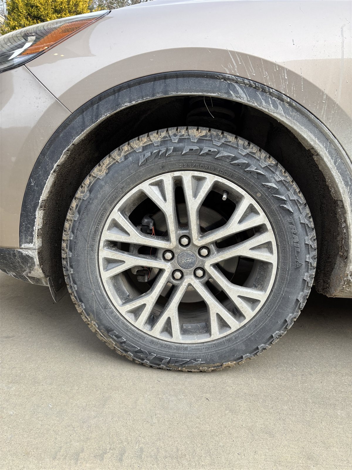 Wheel before deep clean